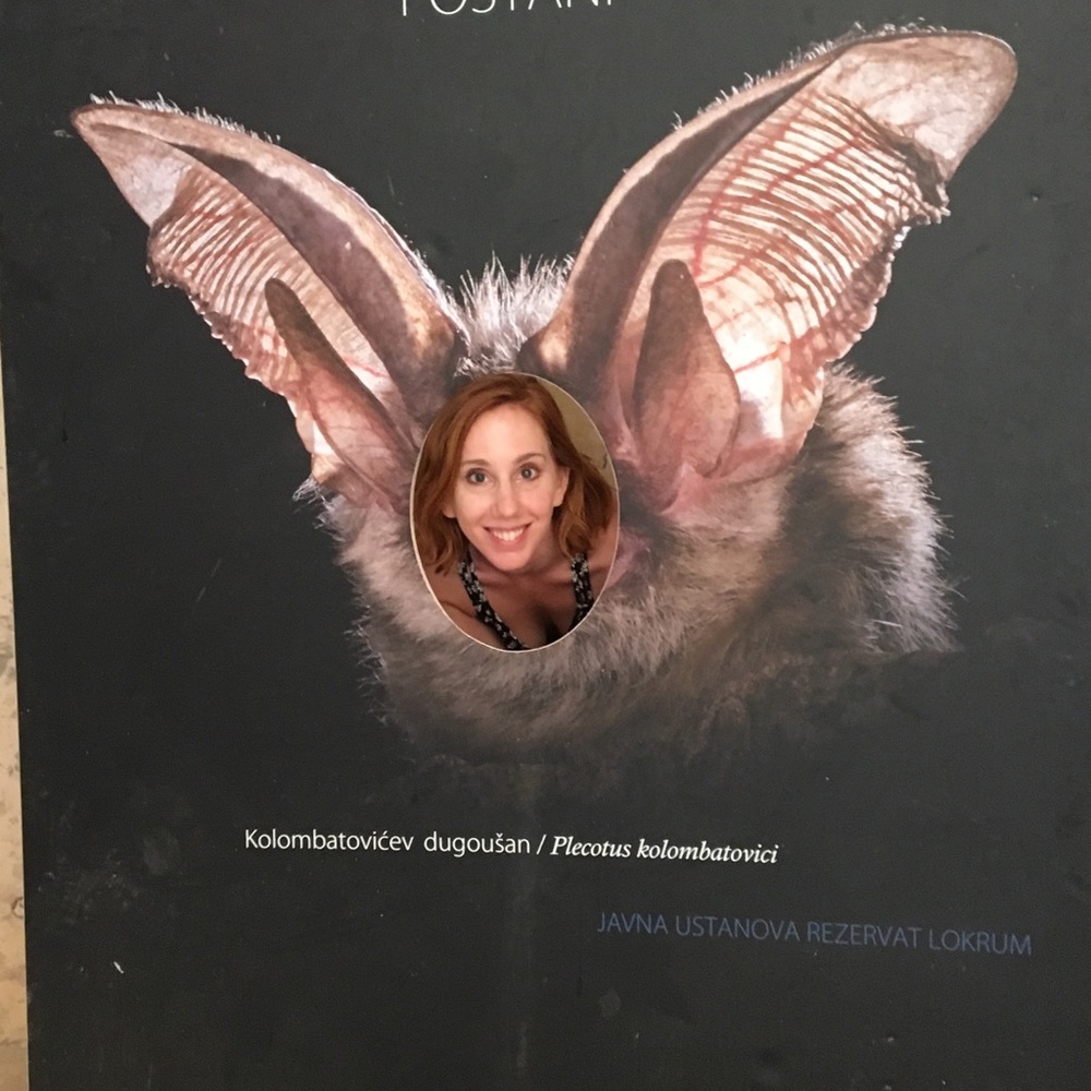 Meet your Posher, Nicolette